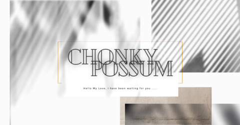 Header of chonkypossum