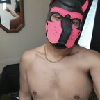 gummipup OnlyFans Leak (49 Photos and 32 Videos) 

 profile picture