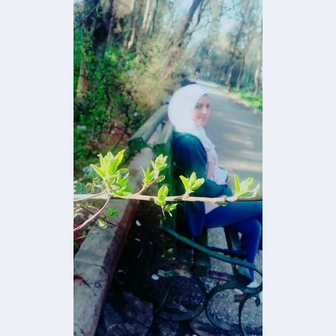 Header of hijabi