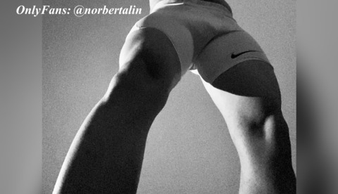 norbertalin onlyfans leaked picture 2