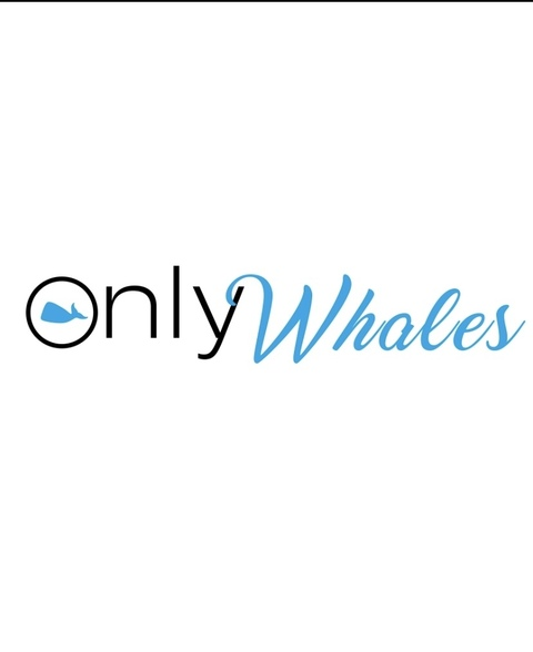 onlywhalesbetting onlyfans leaked picture 2