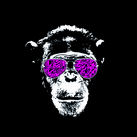 Header of prez_monkey