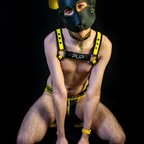 pupvoltzy OnlyFans Leaked Photos and Videos 

 profile picture